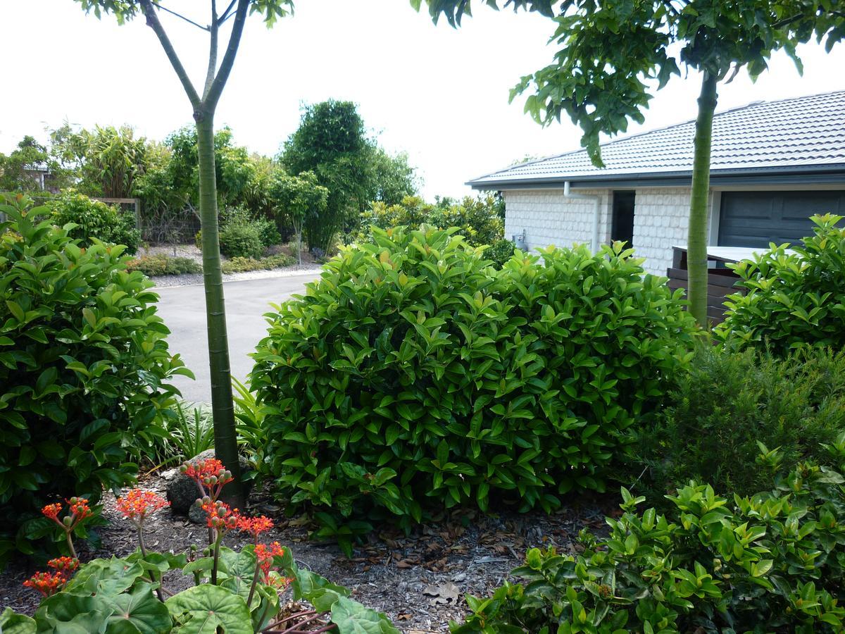 Willowbank Drive Bed & Breakfast Buitenkant foto